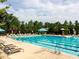 Large community pool with lounge chairs and mature landscaping surrounding it at 1980 Great Ridge Pkwy, Chapel Hill, NC 27516