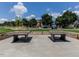 Outdoor recreation area with ping pong tables surrounded by green lawns and Gathering-friendly activity spaces at 1980 Great Ridge Pkwy, Chapel Hill, NC 27516