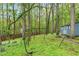Large backyard with mature trees, lush ground cover, and a storage shed, offering a private outdoor space at 2808 Newquay St, Durham, NC 27705