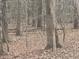 Wooded landscape showcasing the property's natural setting and privacy at 4401 E L G Rd, Efland, NC 27243