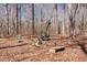 Picturesque outdoor area with seating around a fire pit, offering a peaceful retreat amidst nature's beauty at 4401 E L G Rd, Efland, NC 27243