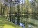 Picturesque pond surrounded by a lush forest, showcasing a tranquil and private natural setting at 4401 E L G Rd, Efland, NC 27243