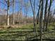 Scenic wooded area with mature trees and a lush green forest floor during the day at 5570 Normans Rd, Rougemont, NC 27572
