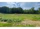 A lot showcasing a vast expanse of natural land, surrounded by a lush canopy of trees at 112 Remington Woods Dr, Wake Forest, NC 27587