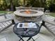 Outdoor fire pit seating with marshmallows and graham crackers for making s'mores at 113 Woodland Ridge Ct, Cary, NC 27519