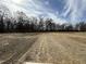 Large grassy backyard of home at 225 Phil Jack Rd, Dunn, NC 28334