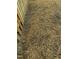 Backyard with a new fence and straw at 2316 Radiance Dr, Burlington, NC 27215