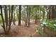 Natural backyard setting with trees and flowers at 2765 Rue Sans Famille, Raleigh, NC 27607