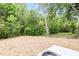 Backyard featuring a leveled yard offers a serene setting with mature trees and natural landscaping at 1057 |1059 E Harnett St, Dunn, NC 28334