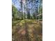 Spacious backyard with mature trees and a lawn at 1210 Cypress St, Rocky Mount, NC 27801