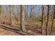 Wooded property featuring several large trees and plenty of room for gardening and play at 1635 Sandy Cross Rd, Burlington, NC 27217