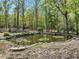 Scenic pond surrounded by rocks and lush vegetation, offering a tranquil outdoor space at 363 Dublin Dr, Sanford, NC 27330