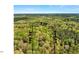 Overhead image delineating property lines and acreage, highlighting the wooded boundary of the estate at 363 Dublin Dr, Sanford, NC 27330