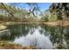 Scenic view of a pond reflecting the sky and surrounding trees, nature at its finest at 4709 Knights Arm Dr, Durham, NC 27707