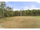 Expansive backyard with lush greenery and mature trees offers lots of privacy at 52 Sagebrook Ct, Zebulon, NC 27597