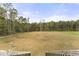 Open and wooded backyard with ample space for activities, offering a serene retreat at 52 Sagebrook Ct, Zebulon, NC 27597