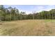 Expansive backyard featuring lush greenery, mature trees, and ample space for recreation and outdoor activities at 52 Sagebrook Ct, Zebulon, NC 27597