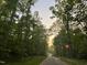 An idyllic driveway framed by lush trees, leading to a peaceful and private homesite in a serene neighborhood at 0009 Tallulah Loop Ln, Cedar Grove, NC 27231