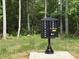 Community mailboxes situated in a well-maintained, natural setting with mature trees in a neighborhood at 0009 Tallulah Loop Ln, Cedar Grove, NC 27231