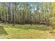 Lush backyard with tall trees and well-maintained lawn at 250 Highview Dr, Youngsville, NC 27596