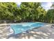 Enjoy the community pool surrounded by mature trees, perfect for relaxing and staying cool at 506 N Greensboro St # Apt 33, Carrboro, NC 27510