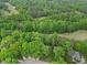 Neighborhood aerial view of verdant landscape with a golf course winding through a lush green forest at 5109 Windance Pl, Holly Springs, NC 27540