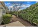 Backyard featuring a mix of concrete patio, verdant bushes, and established trees, offering a serene retreat at 563 Tomkins Loop, Cary, NC 27519