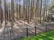 View of backyard including a black fence and backdrop of densely wooded land at 5816 Sand Pebble Pl, Raleigh, NC 27613