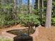 Tranquil backyard with a brick-lined pond surrounded by trees and greenery at 5816 Sand Pebble Pl, Raleigh, NC 27613