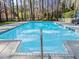 Backyard pool surrounded by lush greenery and mature trees at 5816 Sand Pebble Pl, Raleigh, NC 27613