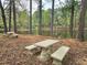A serene lake view surrounded by mature trees, featuring a lakeside picnic area at 5920 Holly Dr, Raleigh, NC 27616
