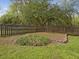 Fenced backyard featuring a patch of ground cover surrounded by lush green lawn at 1008 Brittley Way, Apex, NC 27502