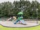 Community playground featuring a colorful play structure with slides, swings, and climbing areas surrounded by lush greenery at 1008 Brittley Way, Apex, NC 27502
