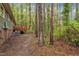 Spacious backyard with a wooden deck, surrounded by lush greenery and mature trees at 122 Monticello Ave, Durham, NC 27707