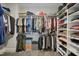 Walk-in closet with custom shelving and ample storage space for clothes and accessories at 2308 Swansea Ln, Apex, NC 27502