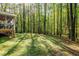 The expansive backyard is wooded and features a firepit at 3217 Brennan Dr, Raleigh, NC 27613