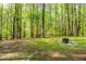 The level backyard features a fire pit and wooded views at 3217 Brennan Dr, Raleigh, NC 27613