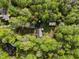 Overhead view of a home with shed surrounded by lush trees, showcasing the private backyard at 359 Punch Hill Farm Rd, Rougemont, NC 27572
