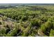 An aerial view displays neighborhood homes surrounded by vibrant, green trees, highlighting a peaceful community setting at 359 Punch Hill Farm Rd, Rougemont, NC 27572