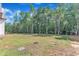 A large lot showcases a partially cleared backyard with lush trees, ideal for outdoor enjoyment at 3920 Cedar Knolls Drive Dr # 18, Youngsville, NC 27596