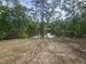 Community pond surrounded by lush forest on a sunny day at 42 Ponchartrain St, Fuquay Varina, NC 27526