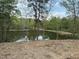 Scenic view of a calm pond surrounded by trees and natural landscape at 42 Ponchartrain St, Fuquay Varina, NC 27526
