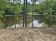 Scenic view of a tranquil pond surrounded by lush greenery from a home's elevated vantage point at 42 Ponchartrain St, Fuquay Varina, NC 27526