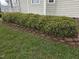 Well-maintained shrubbery lines the base of the home, adding to its curb appeal at 46 Grain Ln, Henderson, NC 27537