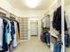 Bright walk-in closet featuring custom shelving and ample storage space for clothes and accessories at 5768 Cavanaugh Dr, Raleigh, NC 27614