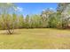Expansive backyard surrounded by lush trees creating a private outdoor space at 93 Clifton Pond Rd, Louisburg, NC 27549