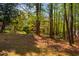 Secluded backyard with mature trees offering privacy and shade, enhancing the natural beauty of the property at 103 Windhover Dr, Chapel Hill, NC 27514