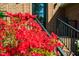Close-up of front porch with red azaleas in bloom at 103 Windhover Dr, Chapel Hill, NC 27514