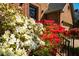 Lush front yard with colorful azaleas at 103 Windhover Dr, Chapel Hill, NC 27514