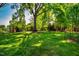 Expansive grassy common area with mature trees, picnic tables, and playground equipment on a sunny day at 103 Windhover Dr, Chapel Hill, NC 27514